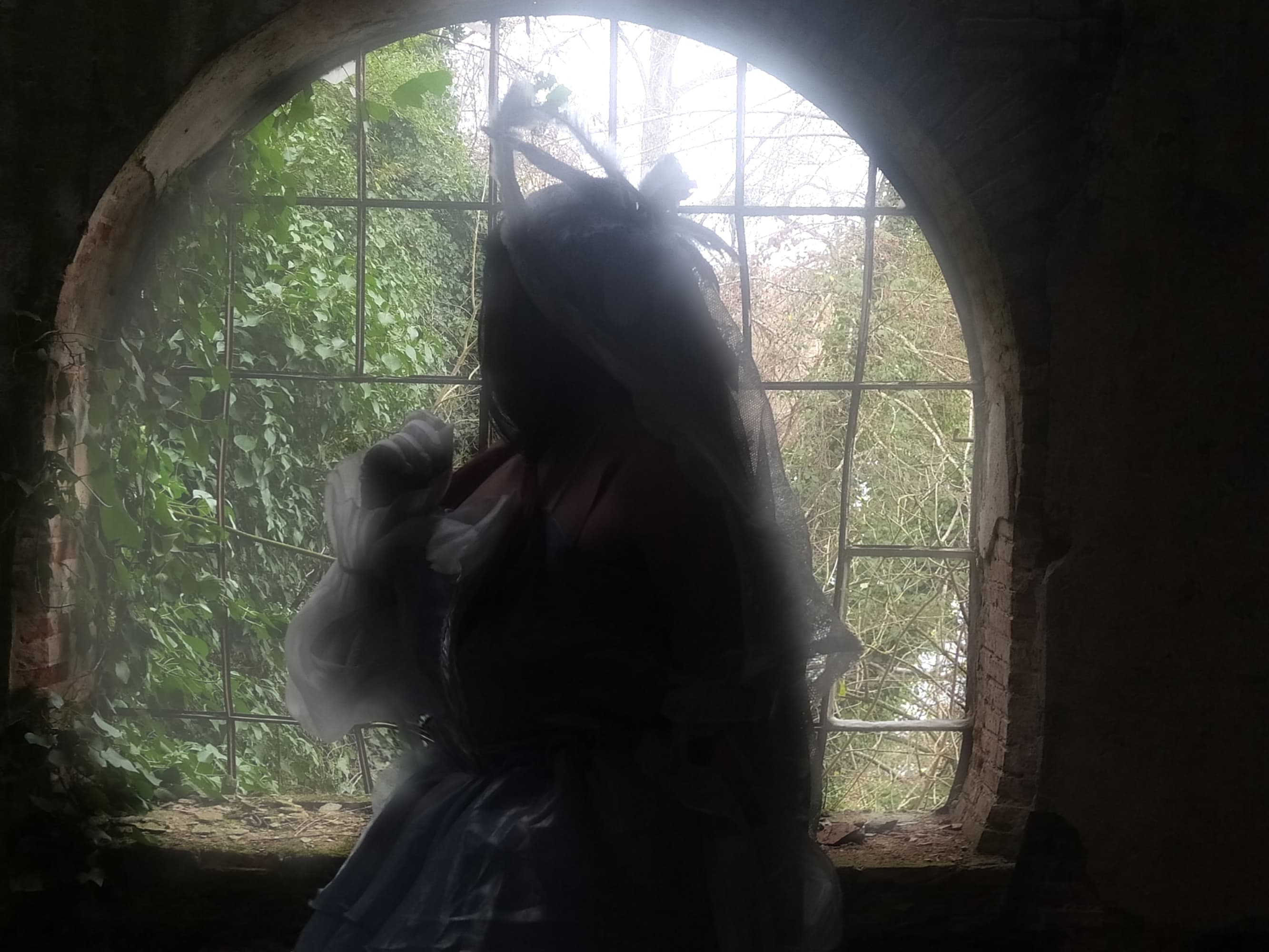 Columbina  - Photo 2