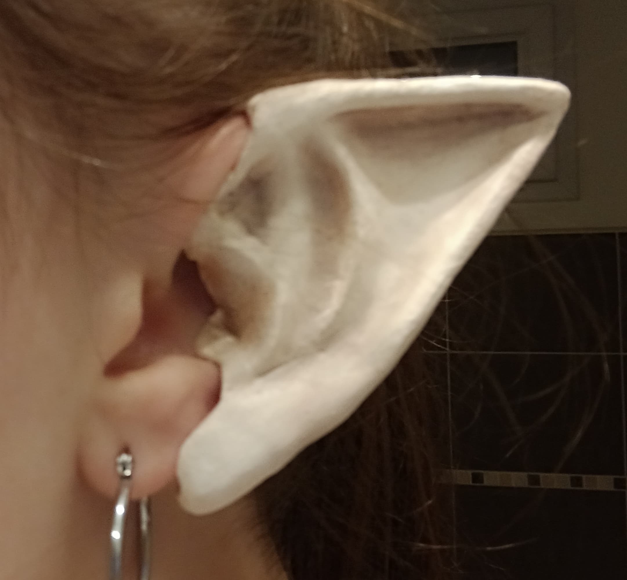 Préparation Edalyn - Photo 29