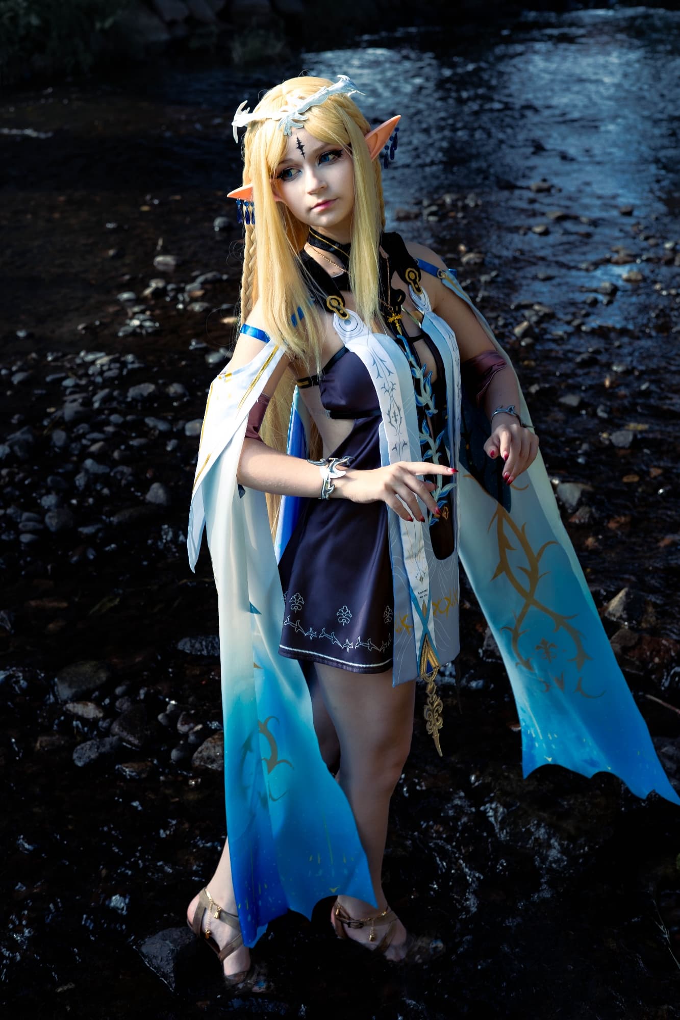 Cartethyia  - Photo 14