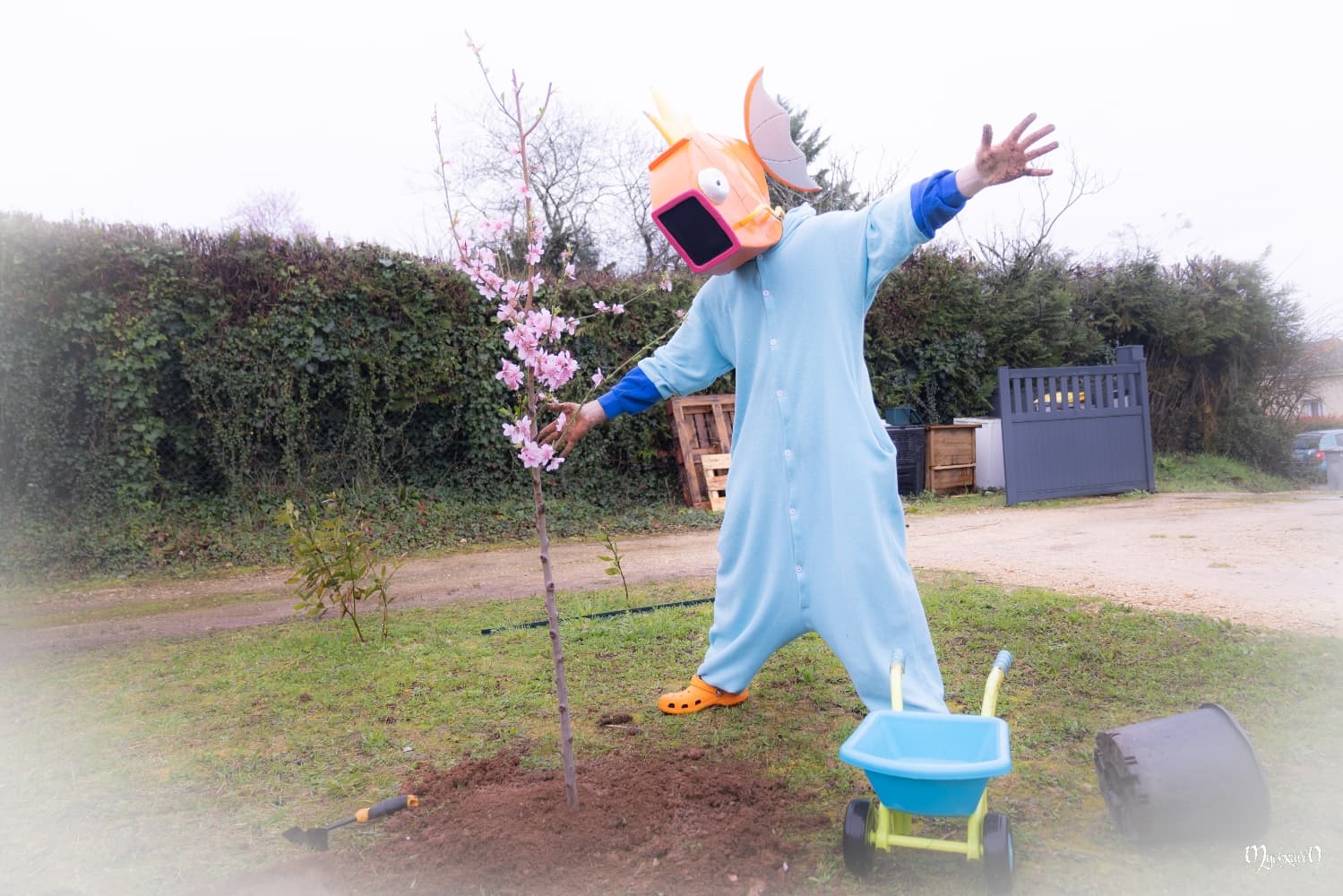 La plantation  - Photo 6