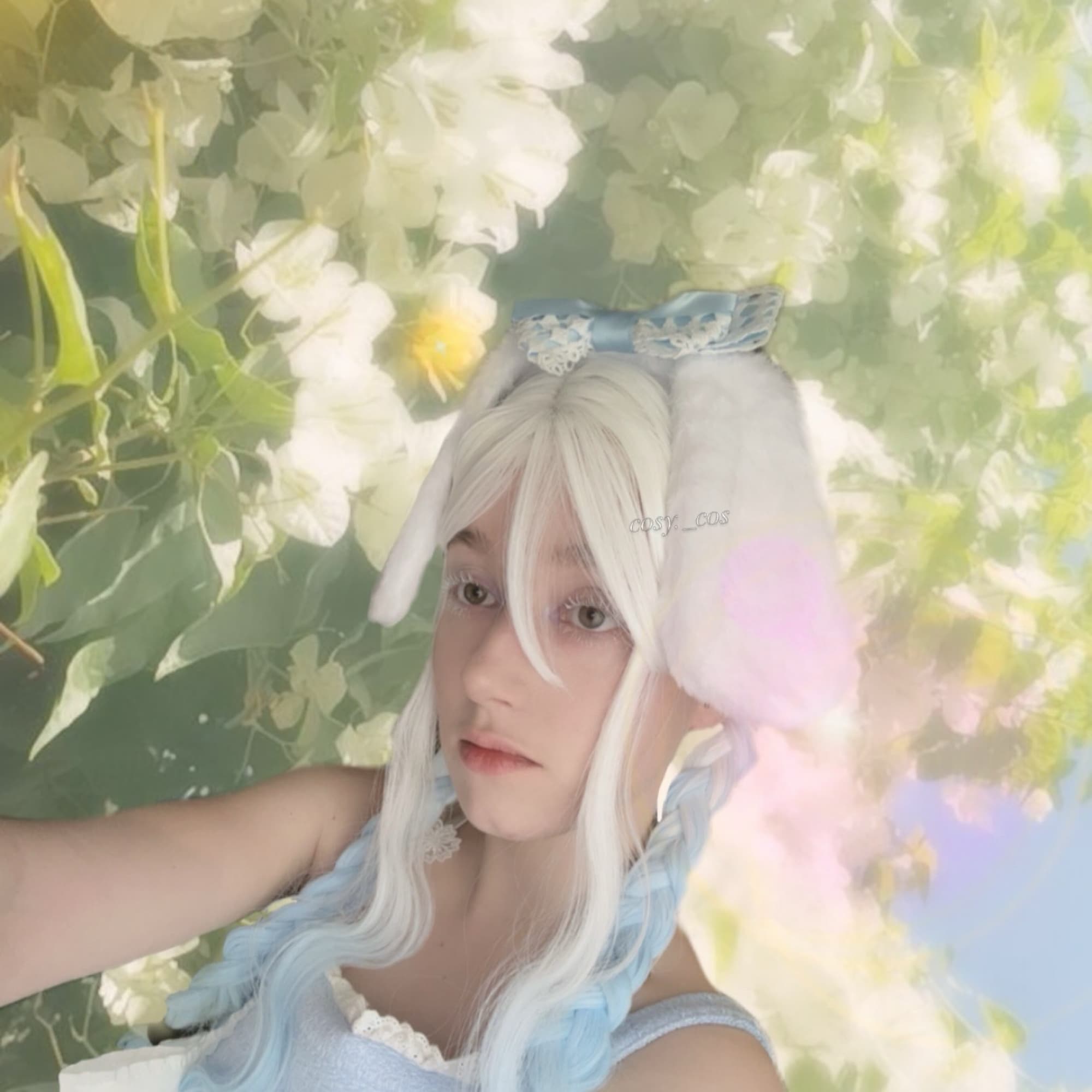 Cinnamoroll - Photo 4