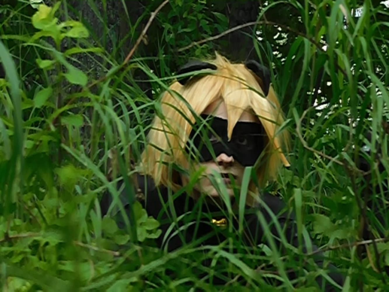 Chat Noir - Photo 25