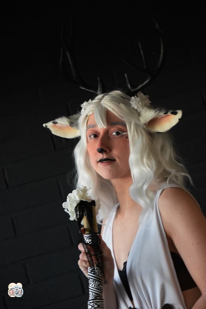 Faune noir et blanc - Photo 7