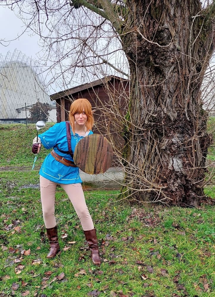 Link (Botw) - Photo 6