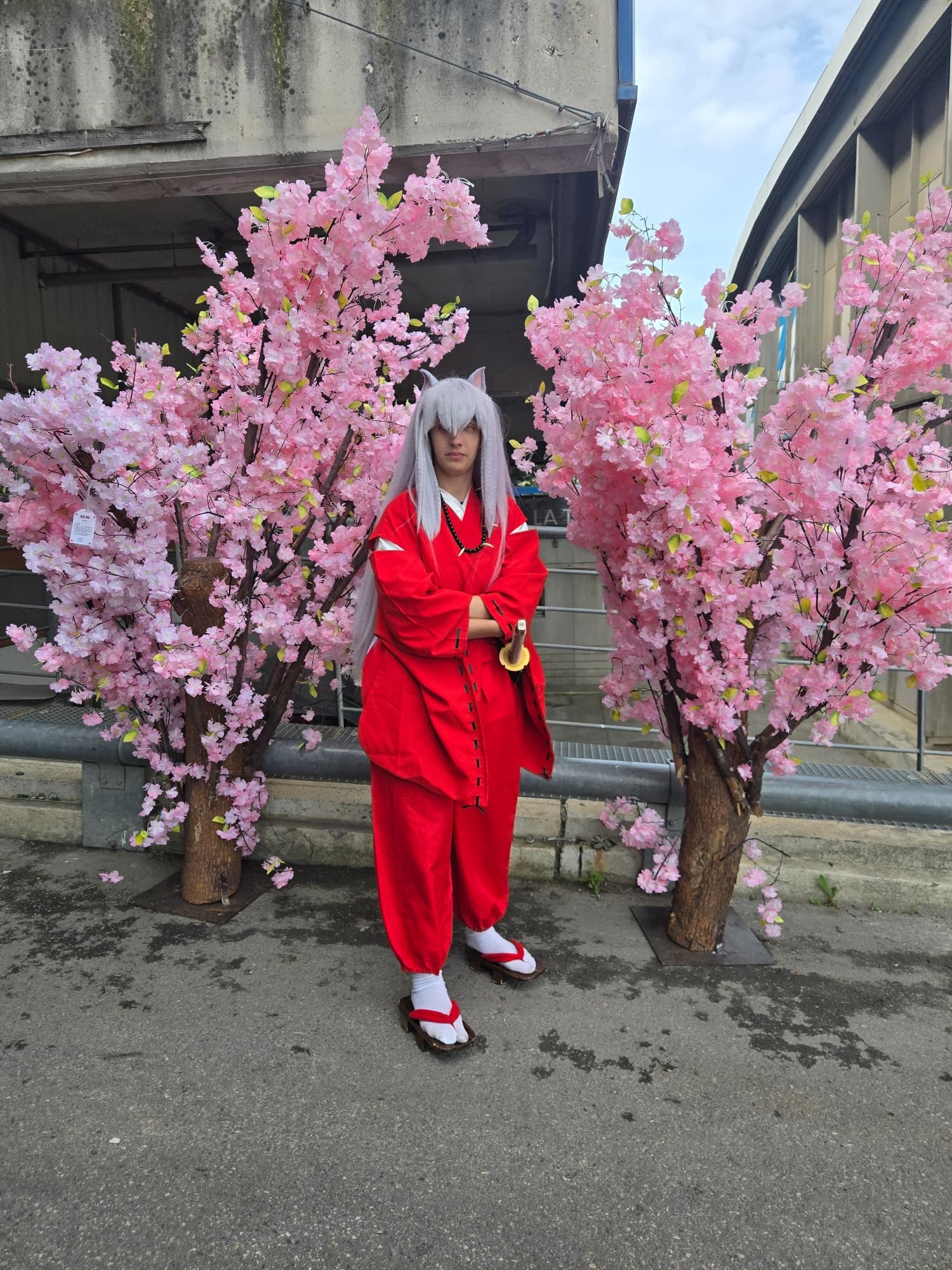 Inuyasha  - Photo 86