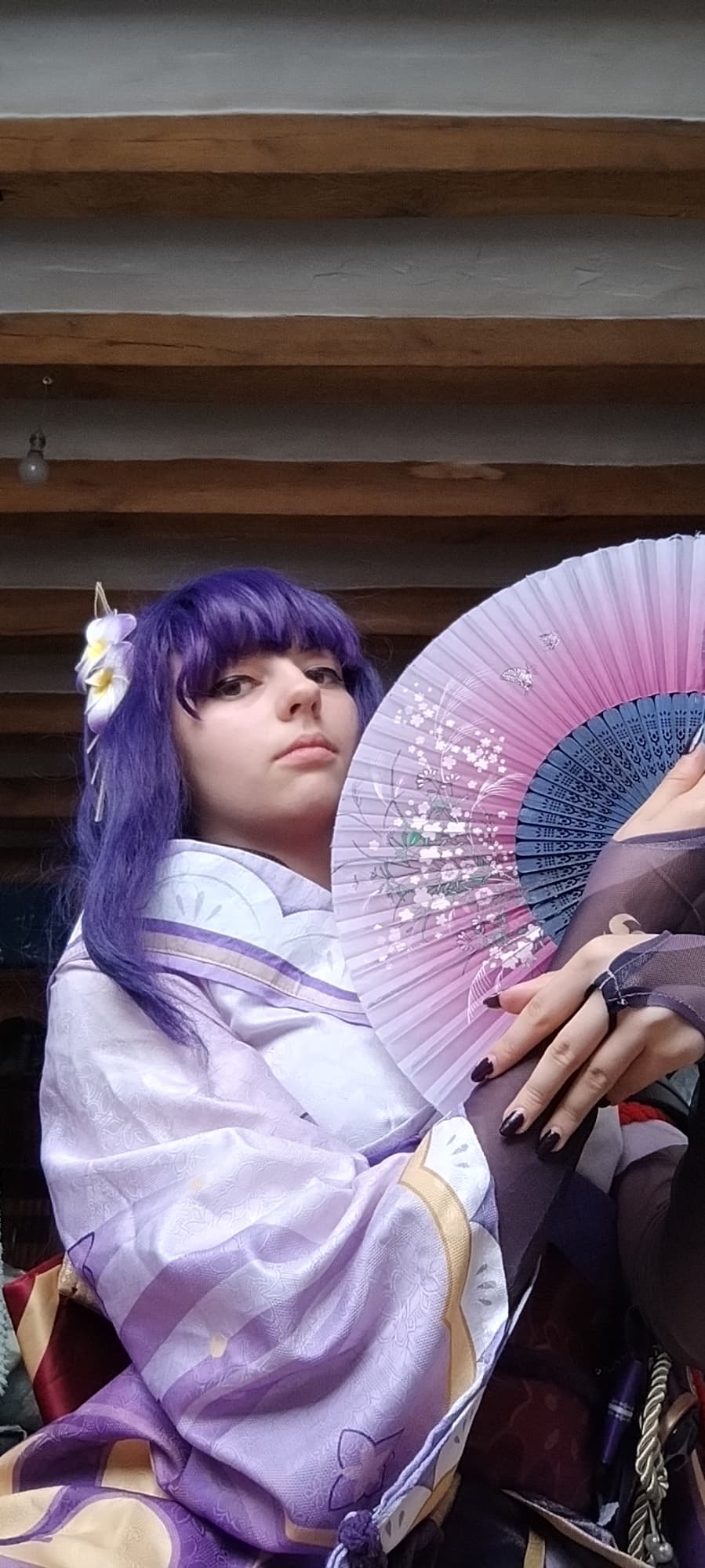 Raiden shogun  - Photo 12