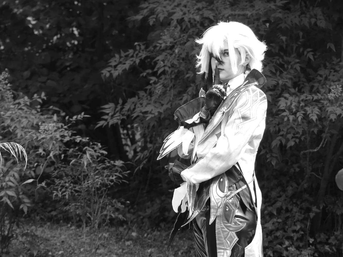 Arlecchino - Photo 16