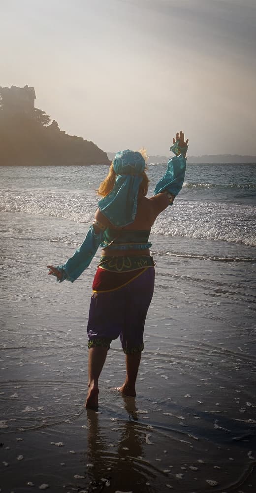 Link gerudo plage - Photo 2