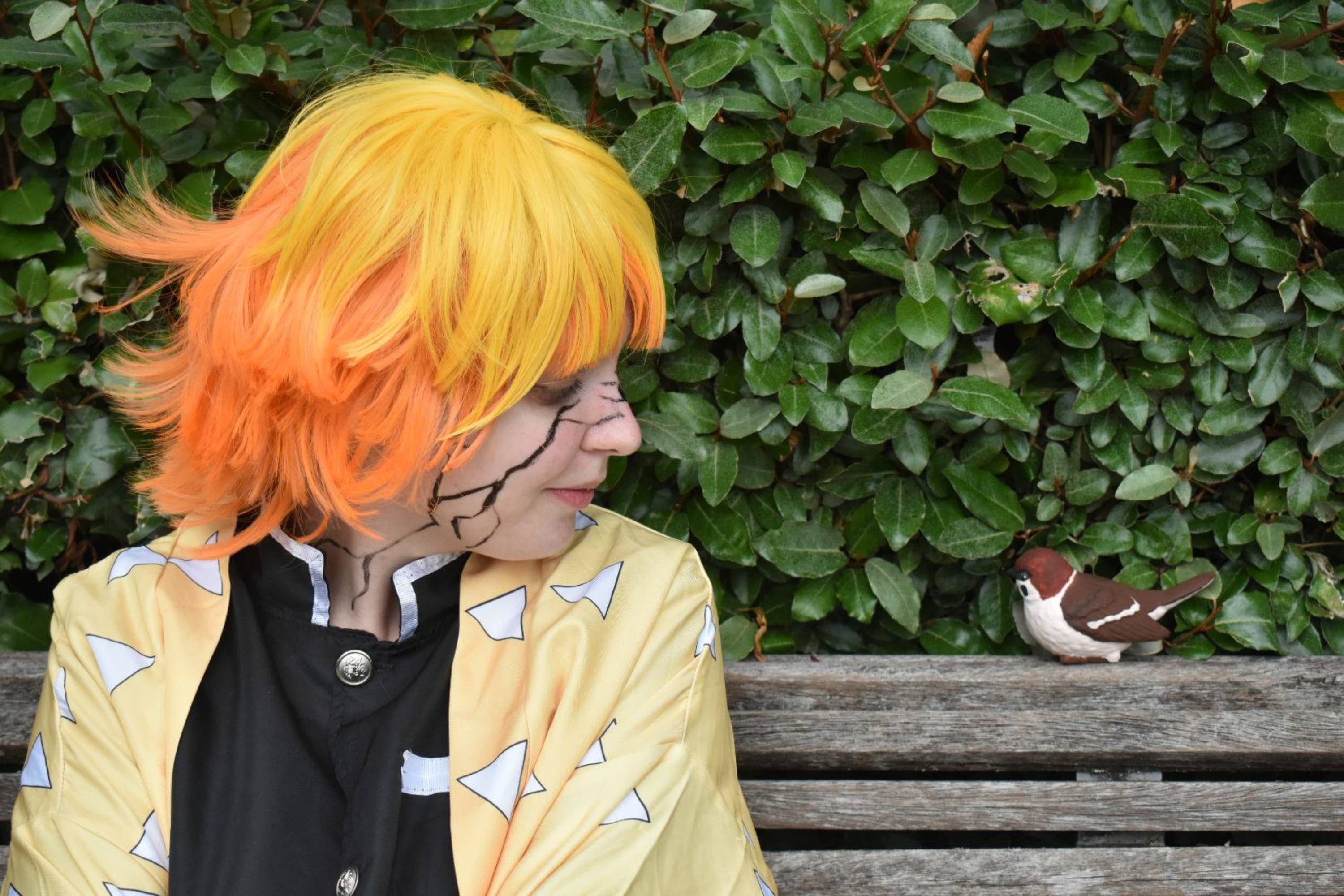 Zenitsu Agatsuma - Photo 5