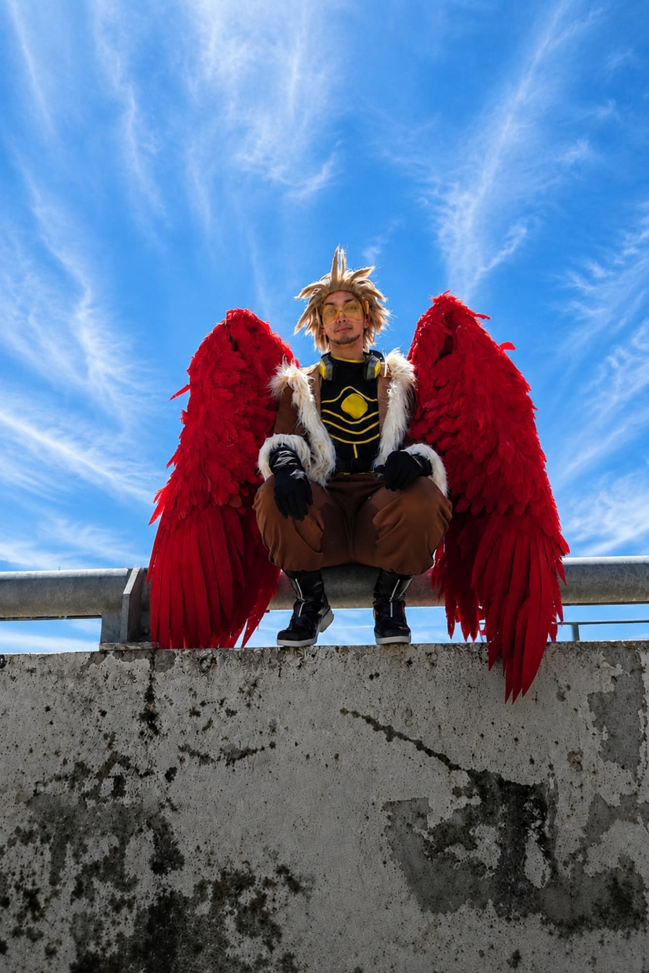 Hawks  - Photo 49