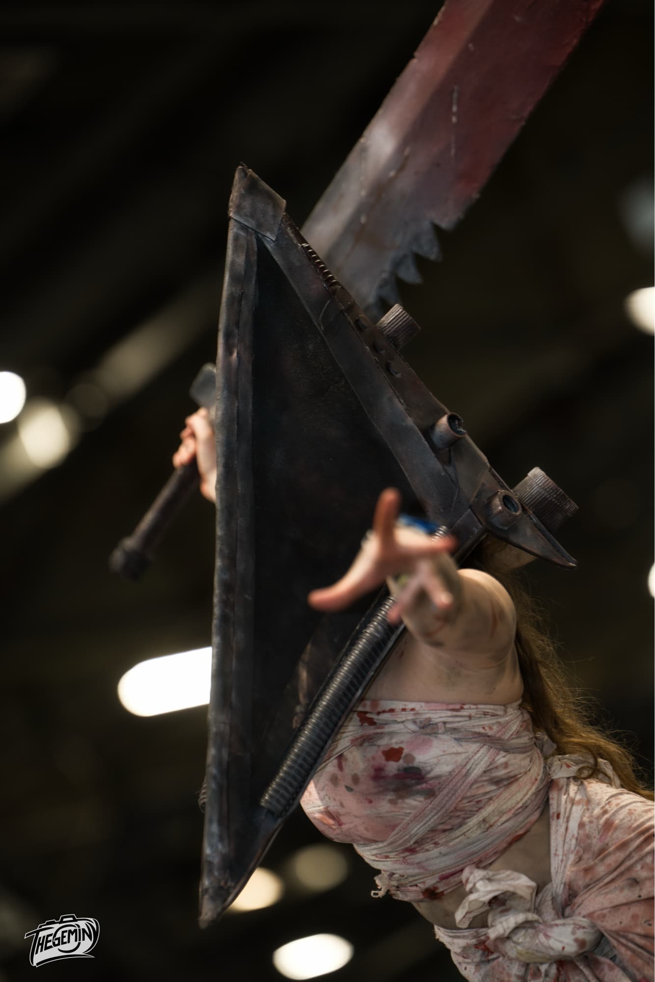 Pyramid head  - Photo 6