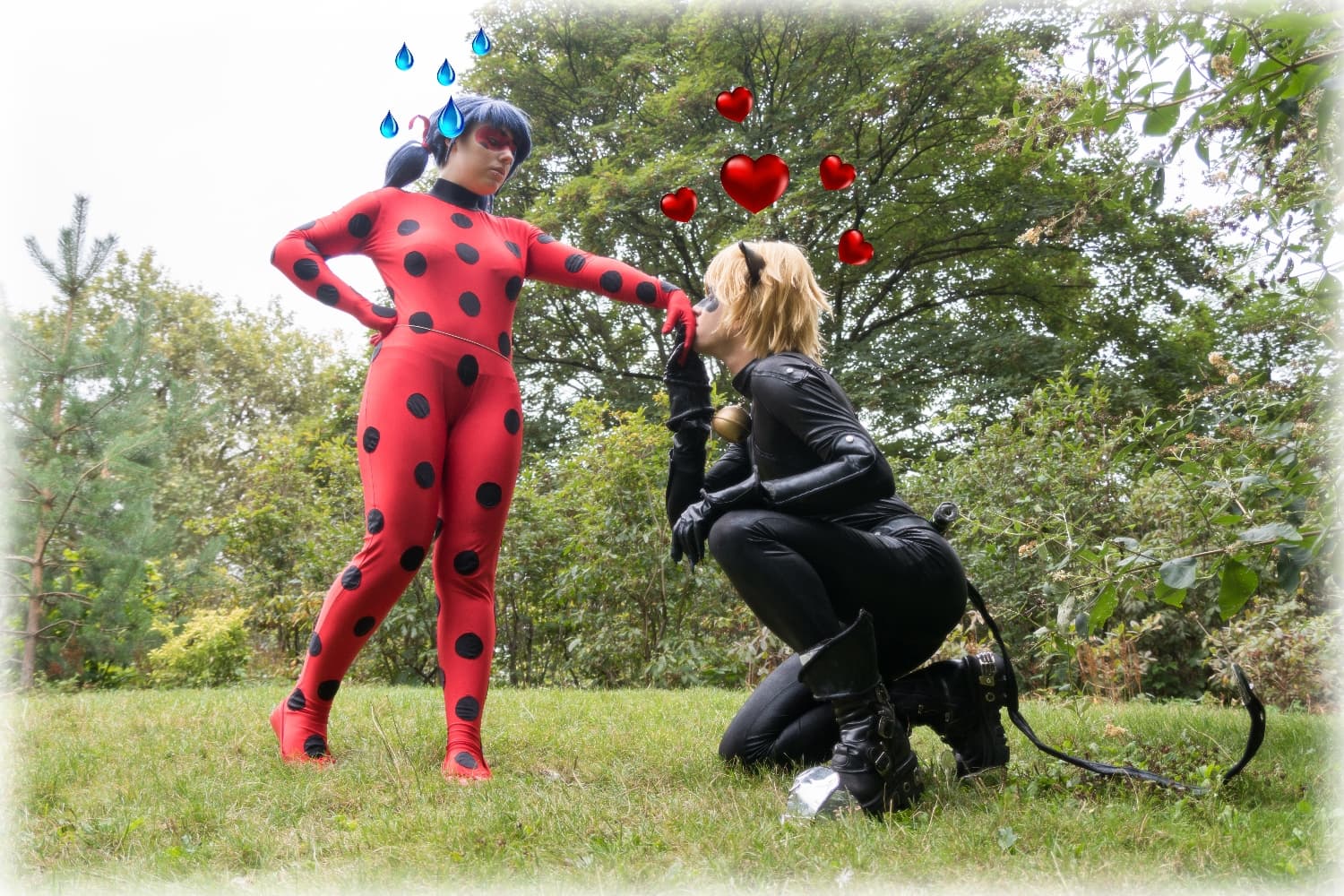 Chat Noir 02 - Photo 4