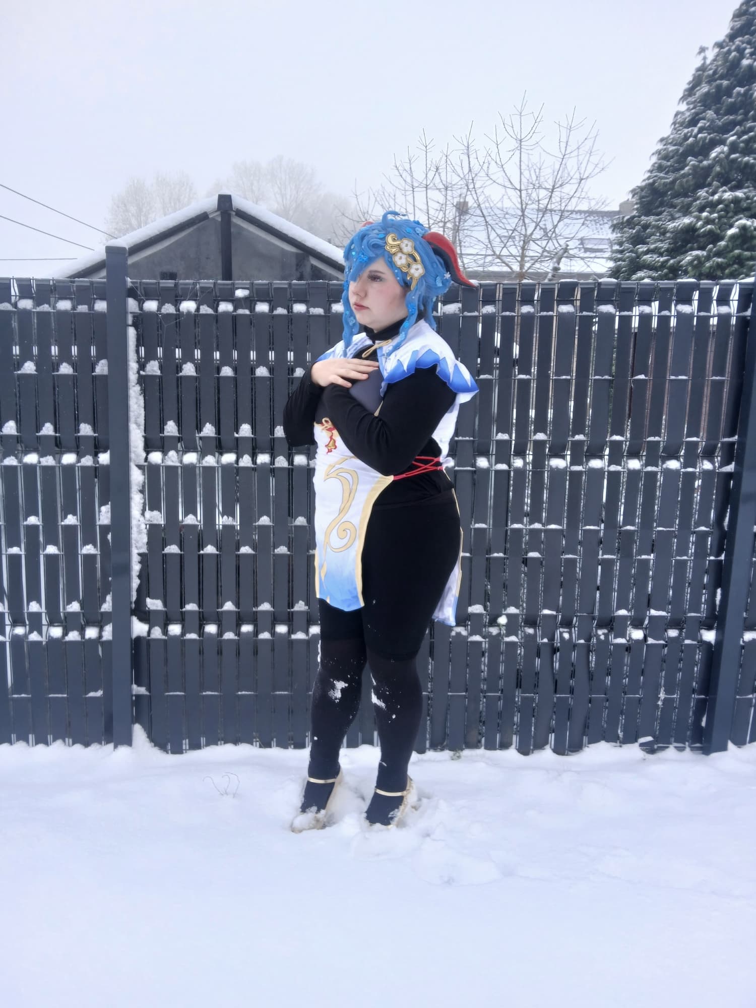 Ganyu in snow - Photo 18