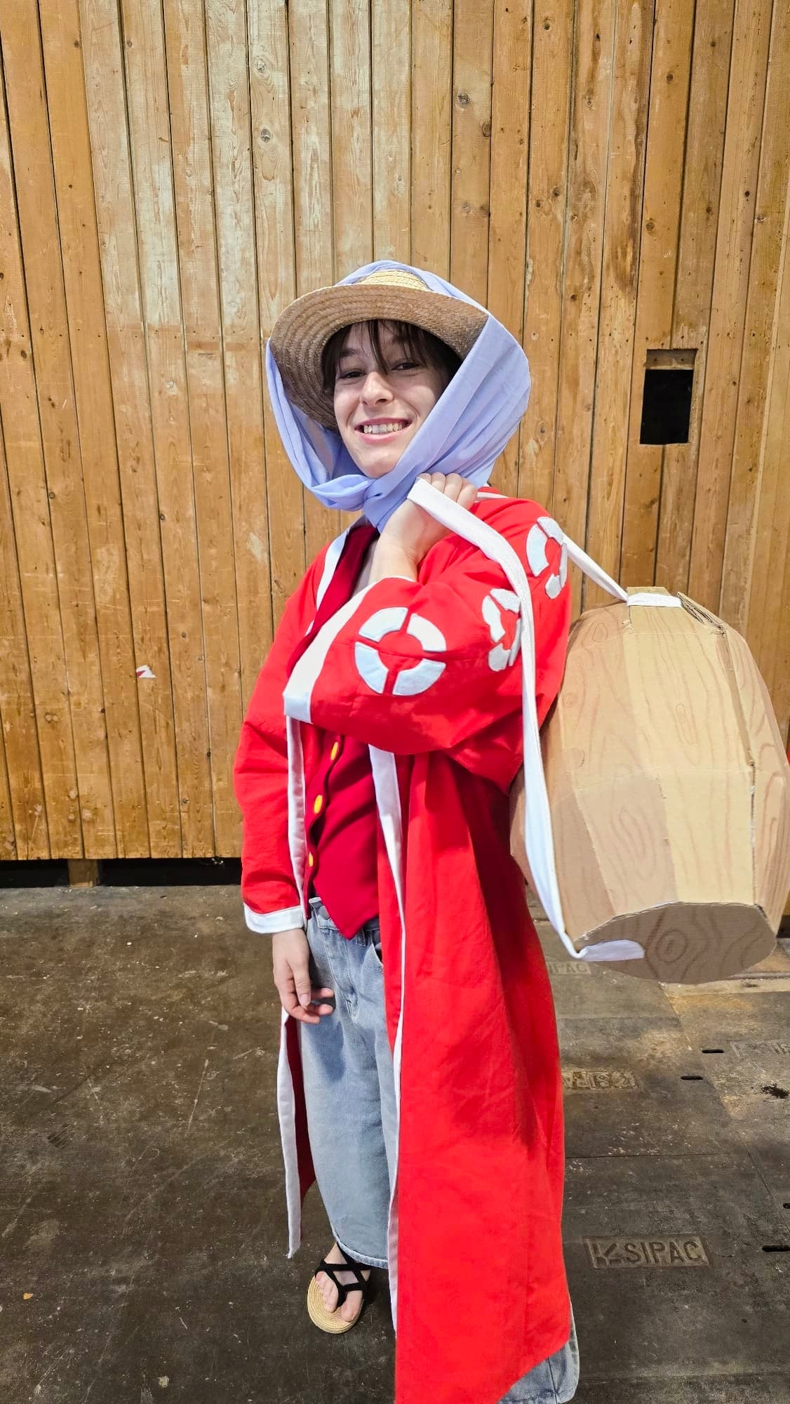 Luffy Alabasta 
