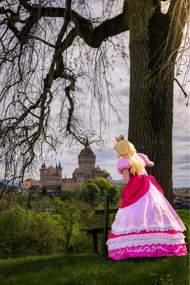 Peach and the Castel - Photo 9