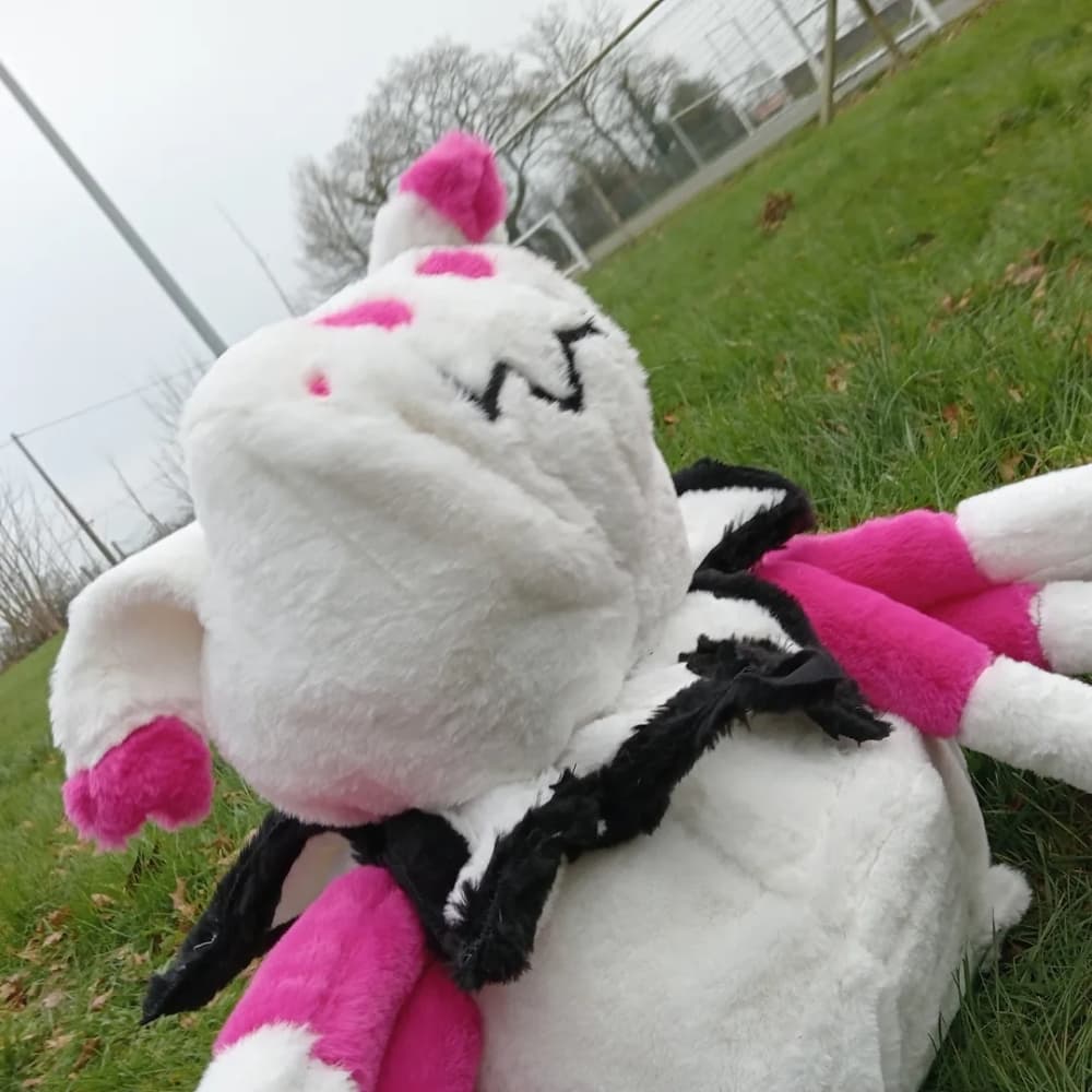 Peluche kumoko - Photo 7