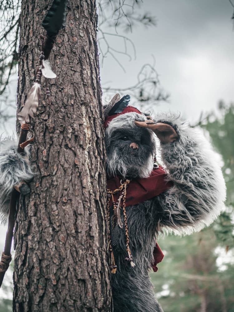 Forest Shooting - Photo 5