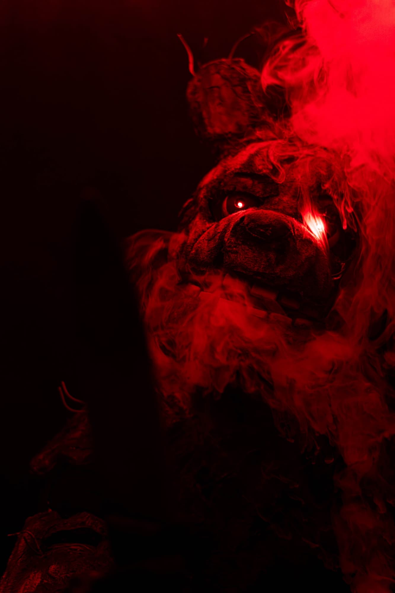 Shoot special - Photo 13