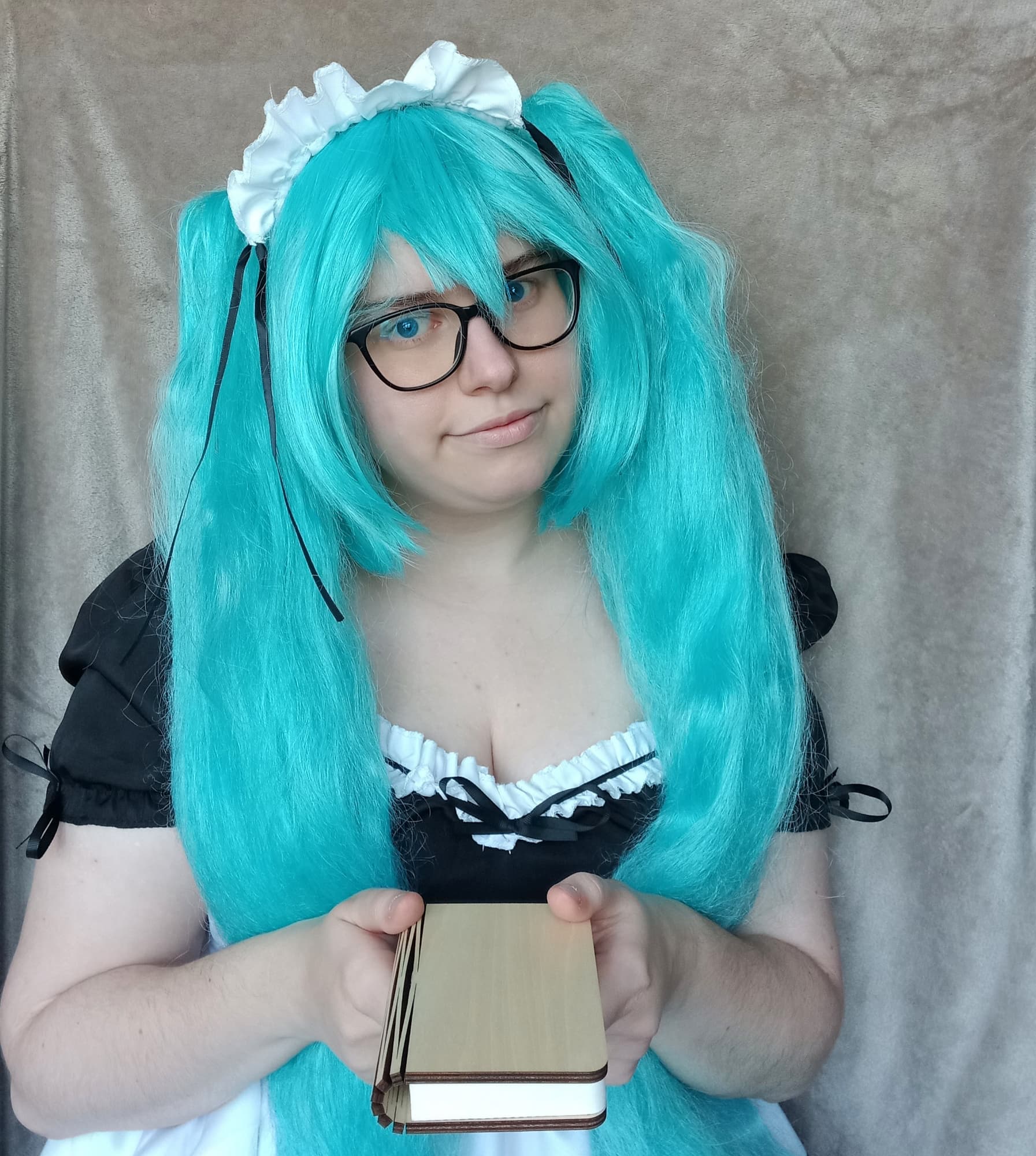 Miku Maid - Photo 14