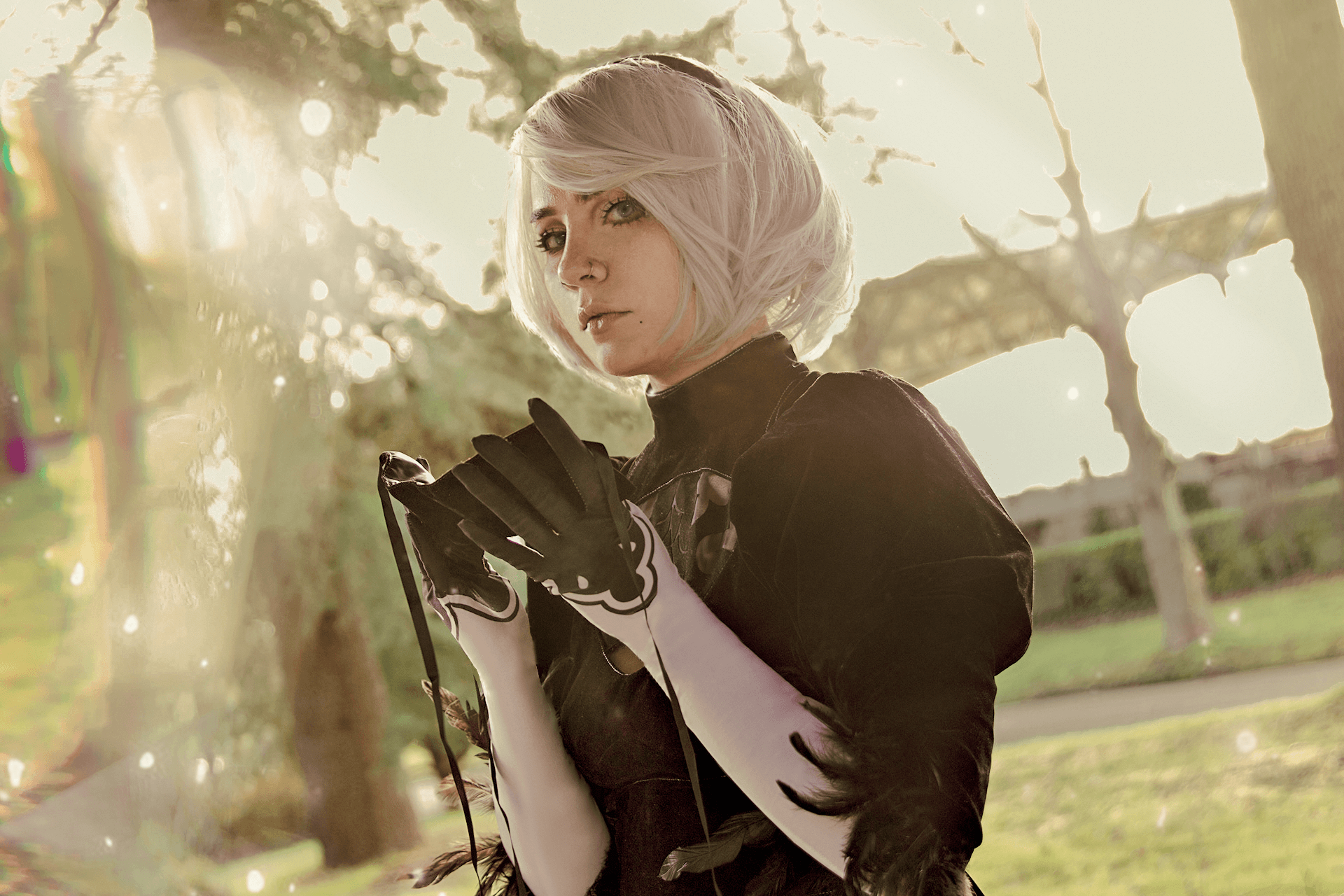 2b - Photo 3