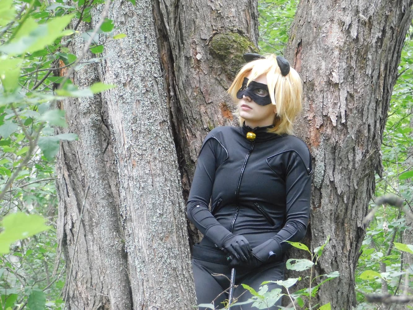 Chat Noir - Photo 4