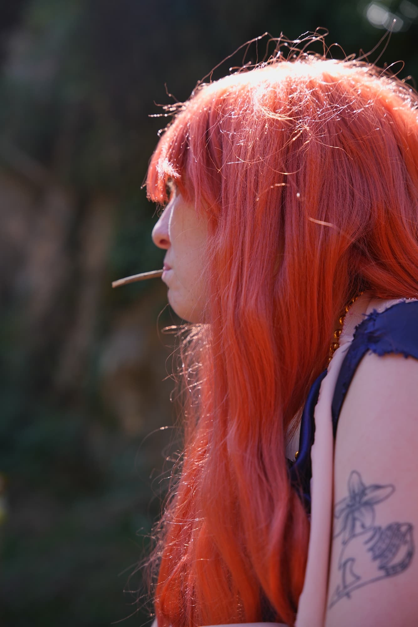 One piece alabasta  - Photo 23