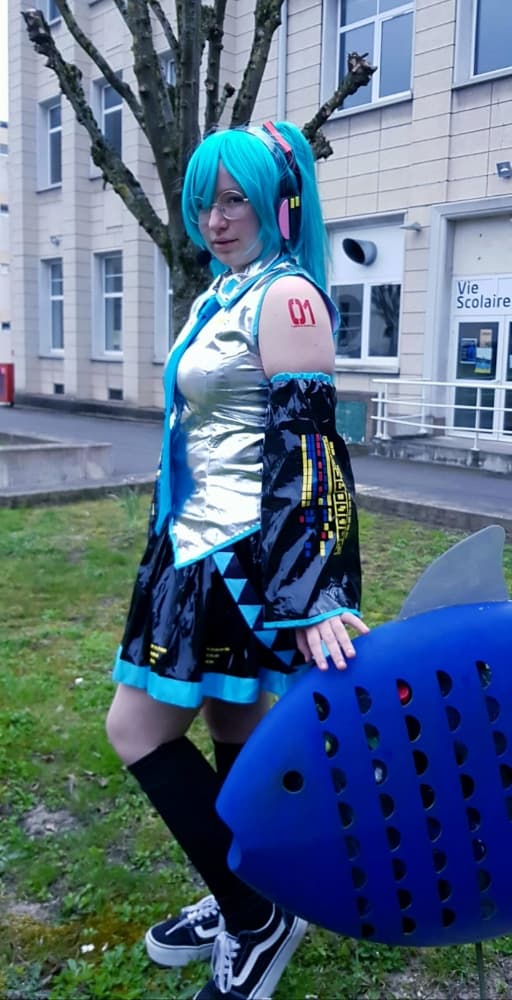 Hatsune miku  - Photo 11