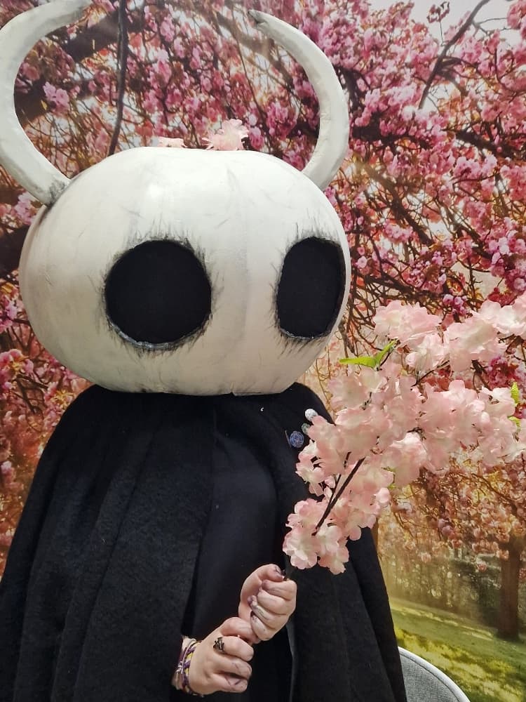 Hollow knight  - Photo 4