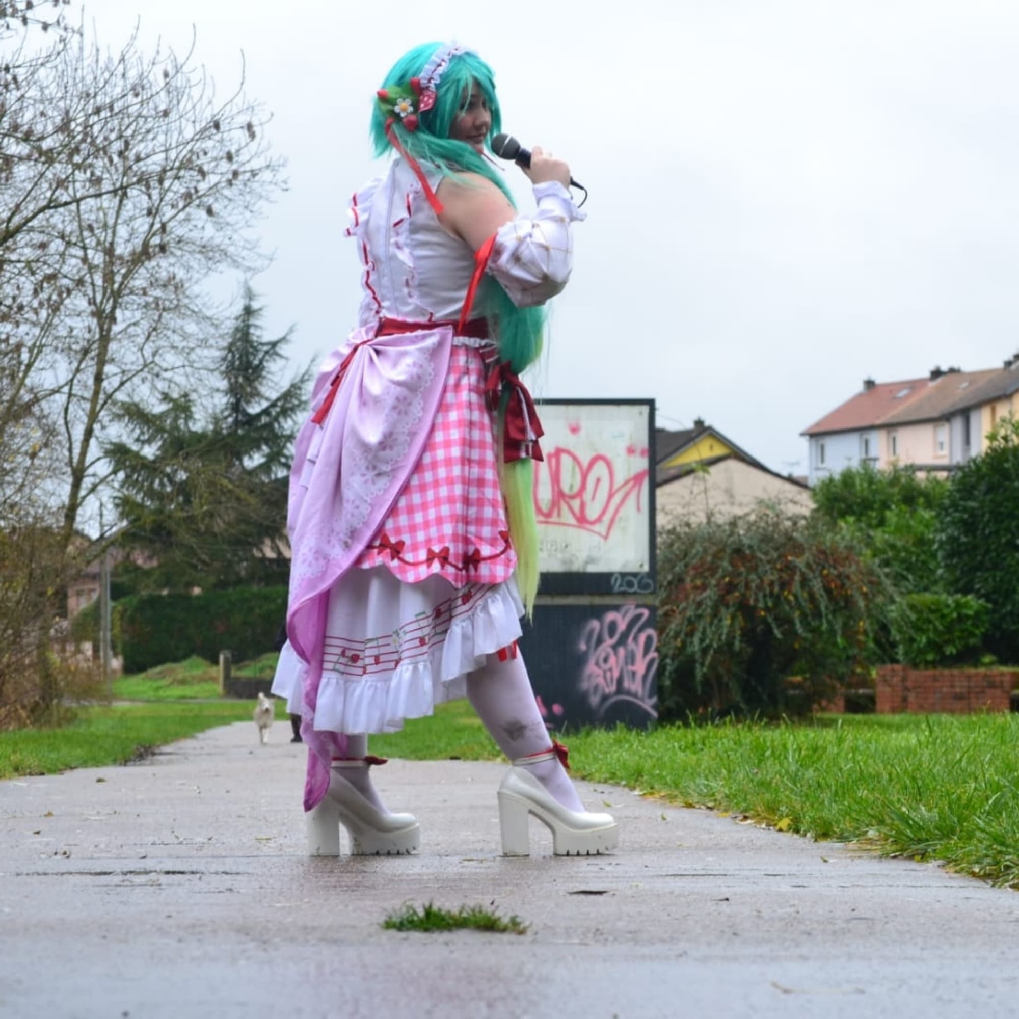 Miku strawberry