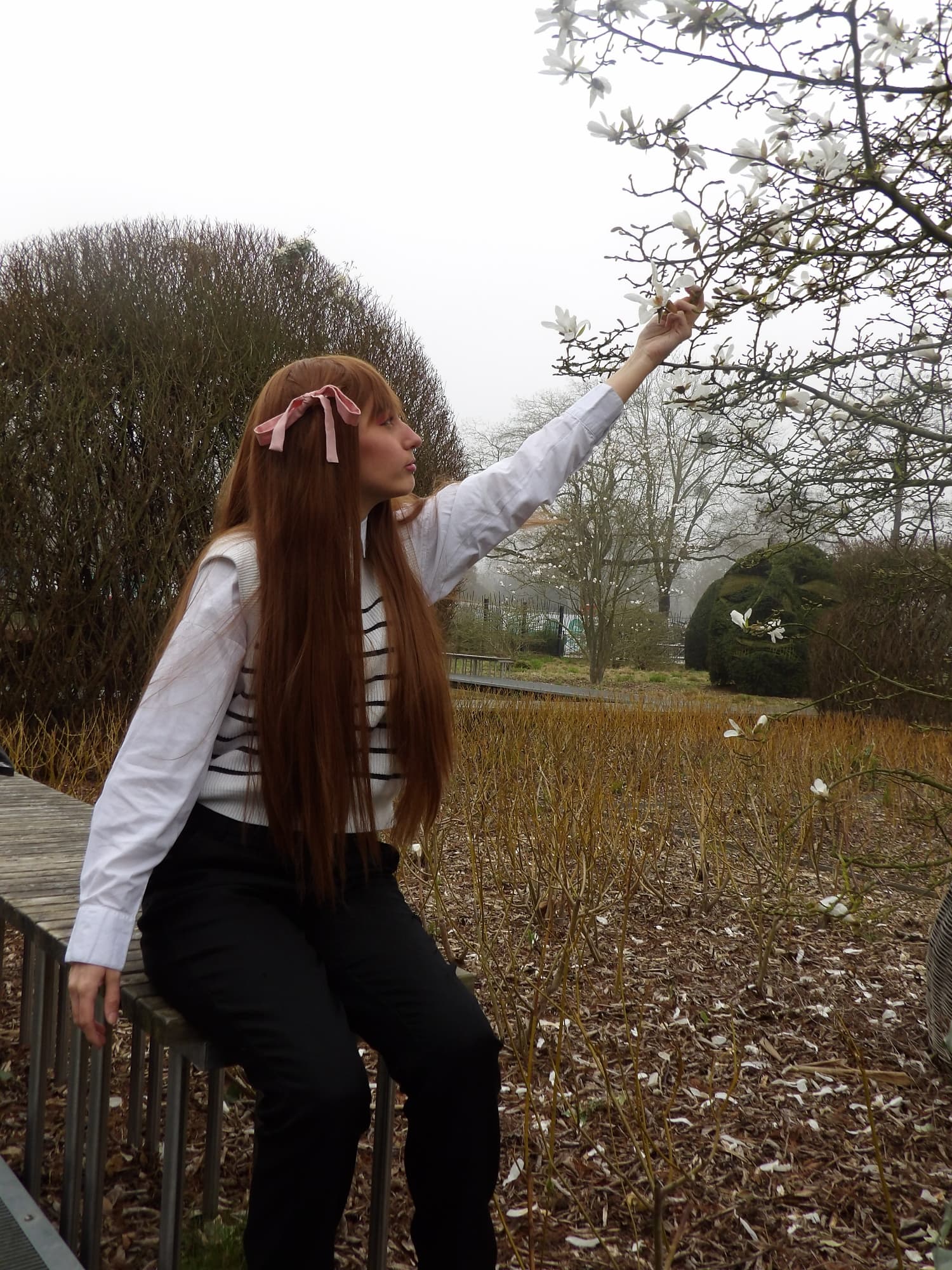 Tohru Honda  - Photo 2