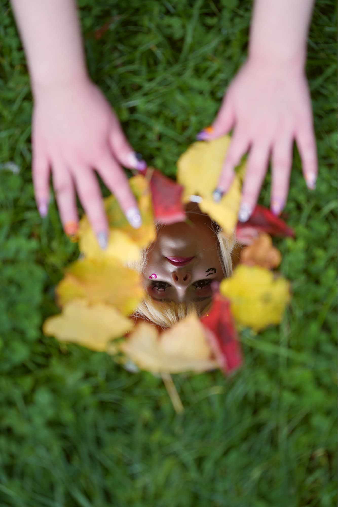 Marin Halloween  - Photo 5