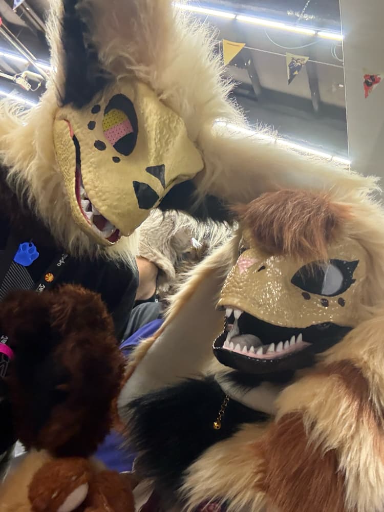 Photos Tapioca - Photo 16