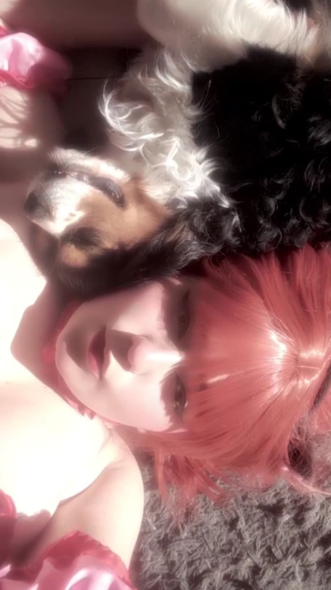 Ichigo - Photo 4