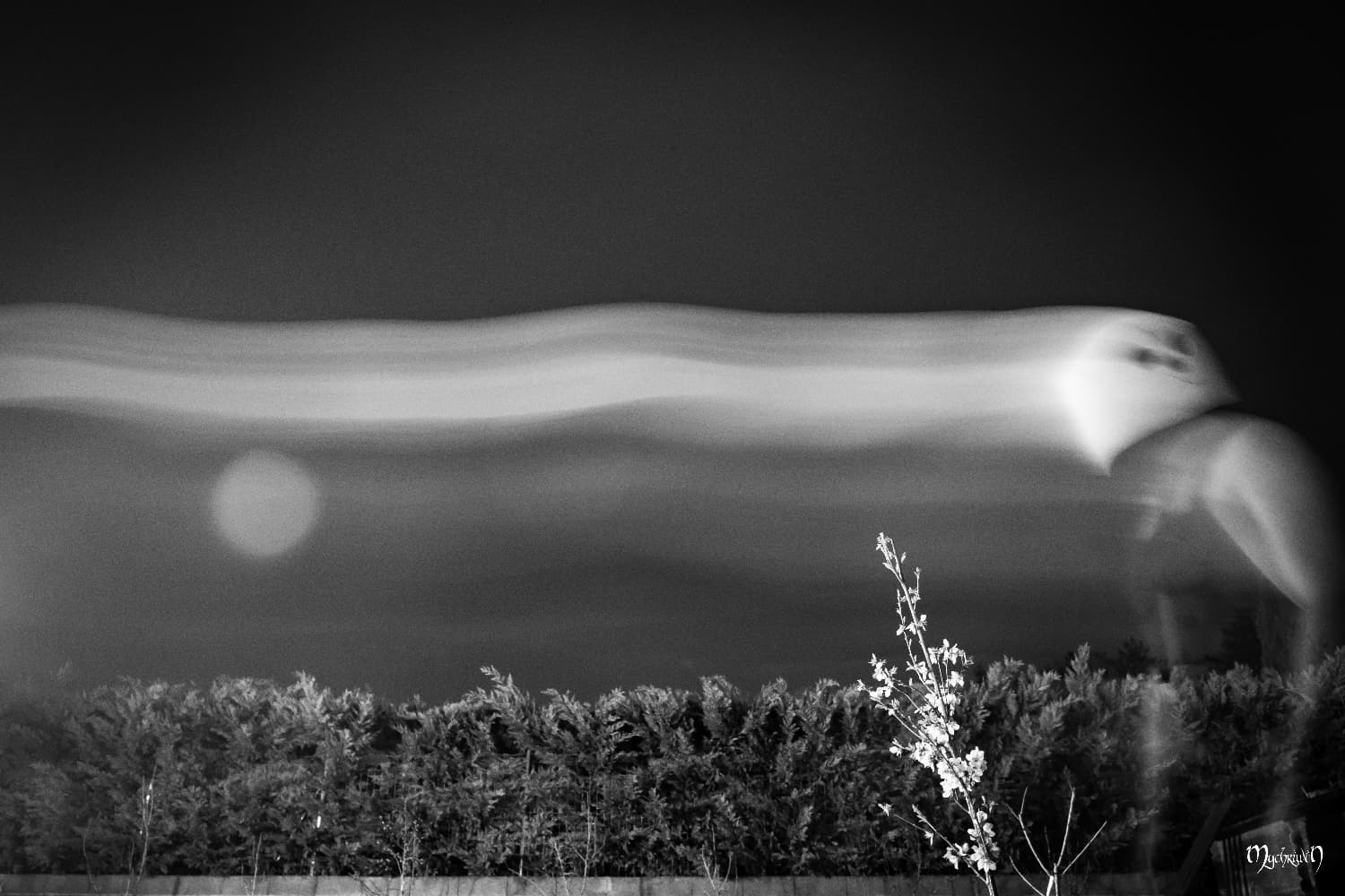 Pandaman test flou - Photo 2