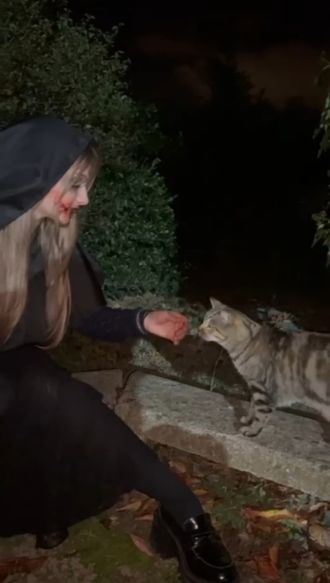 Bela Dimitrescu - Photo 9