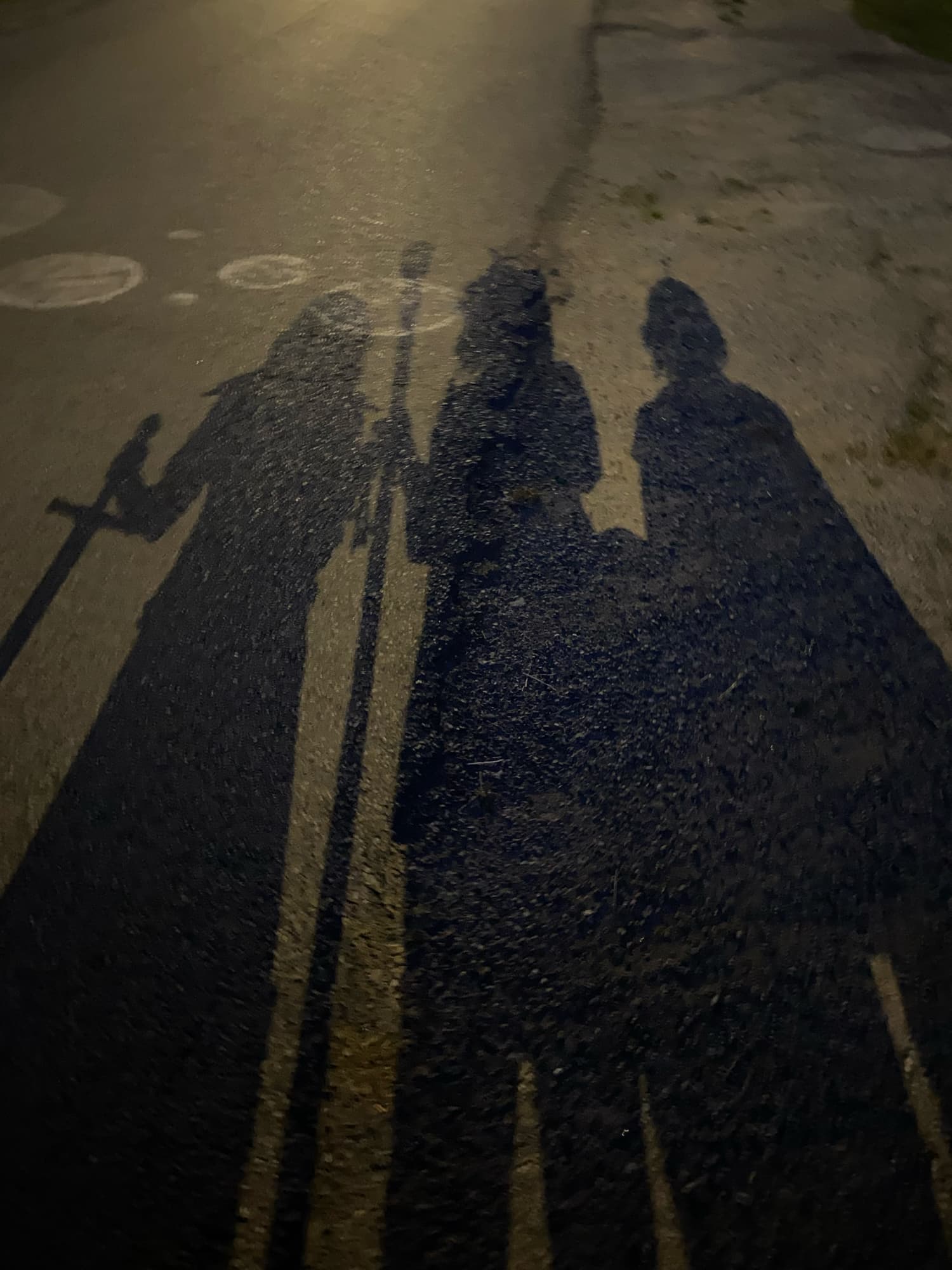 High Elf King SP - Photo 2