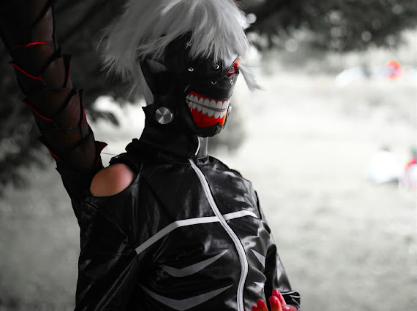 Kultur Manga Dreux - Photo 5