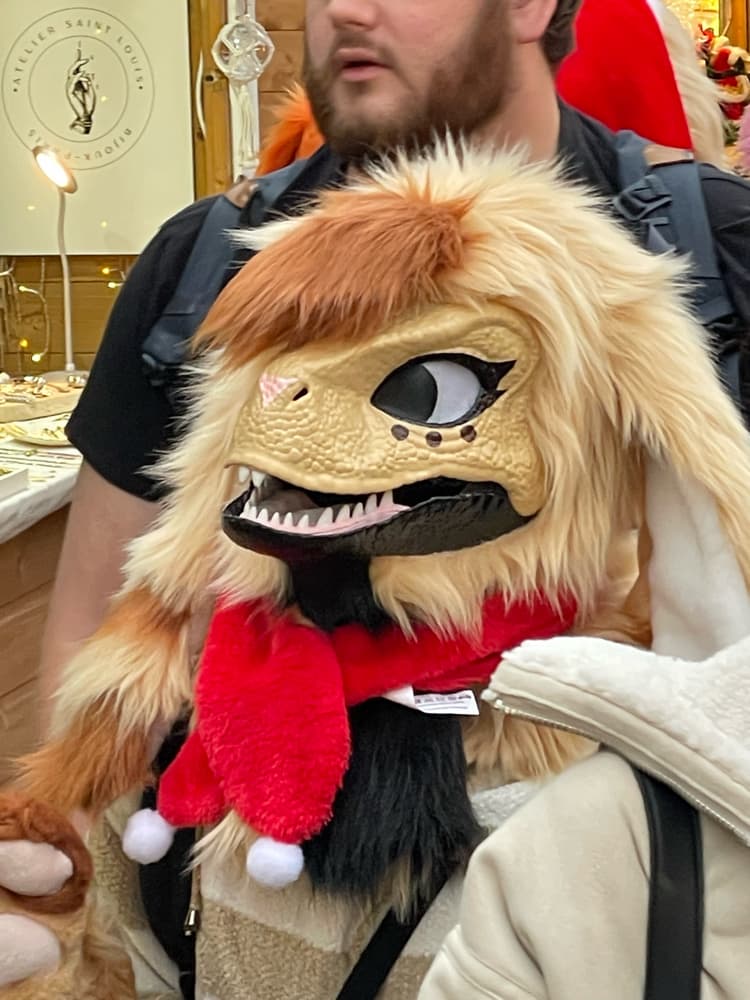 Photos Tapioca - Photo 9