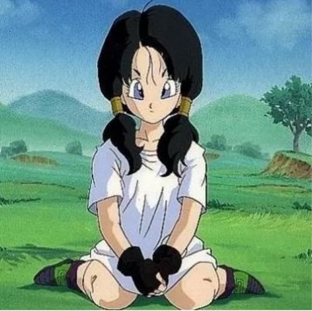 Videl (DBZ)