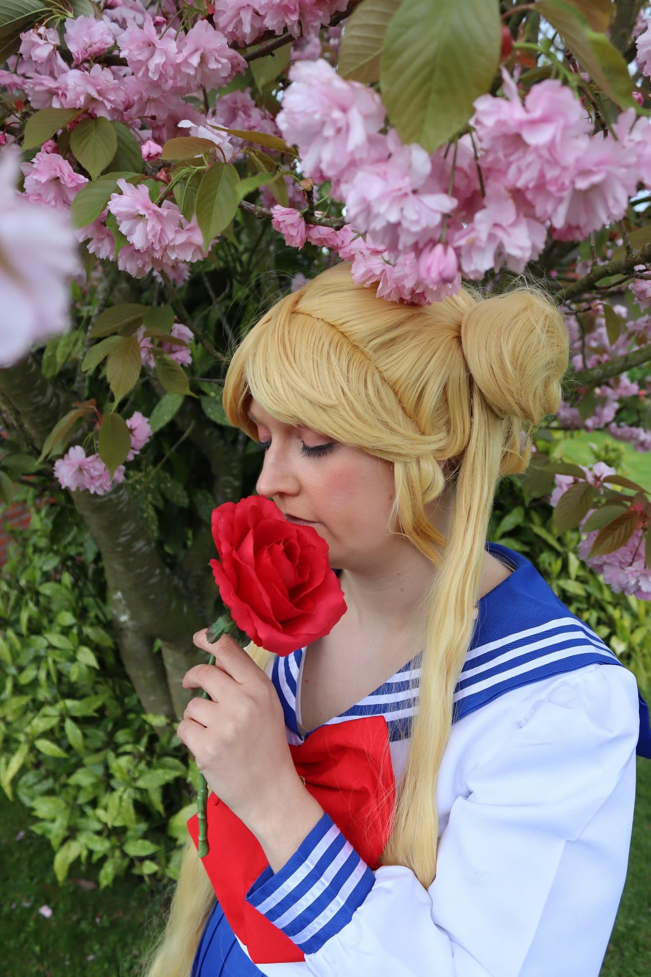 Usagi Tsukino  - Photo 4