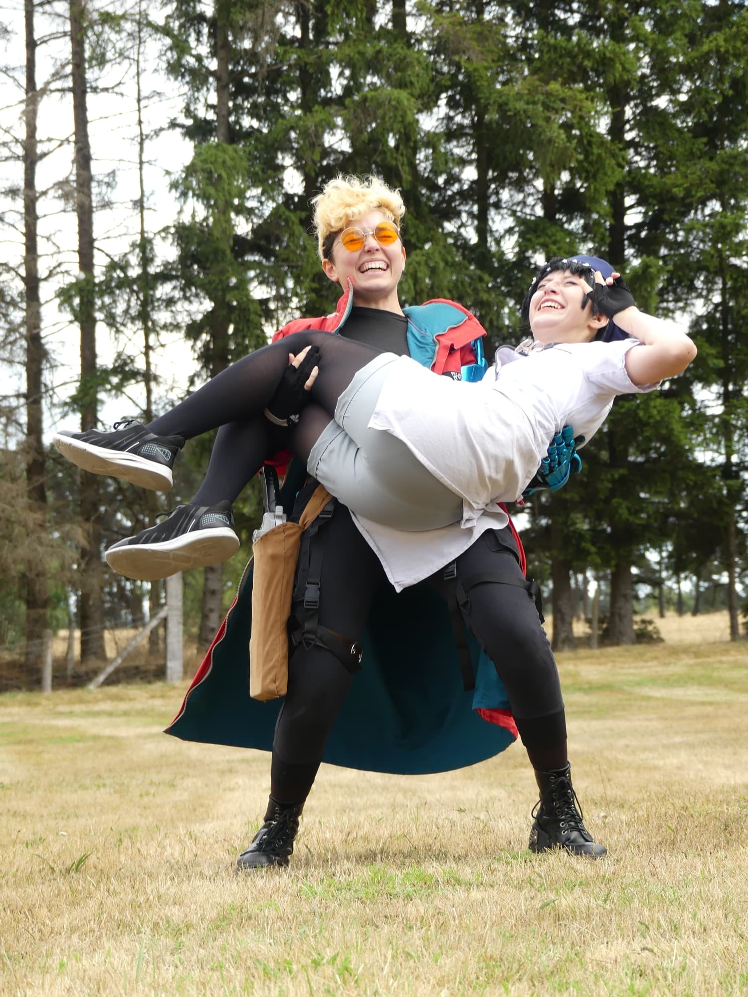 Gevaudan pop culture - Photo 16