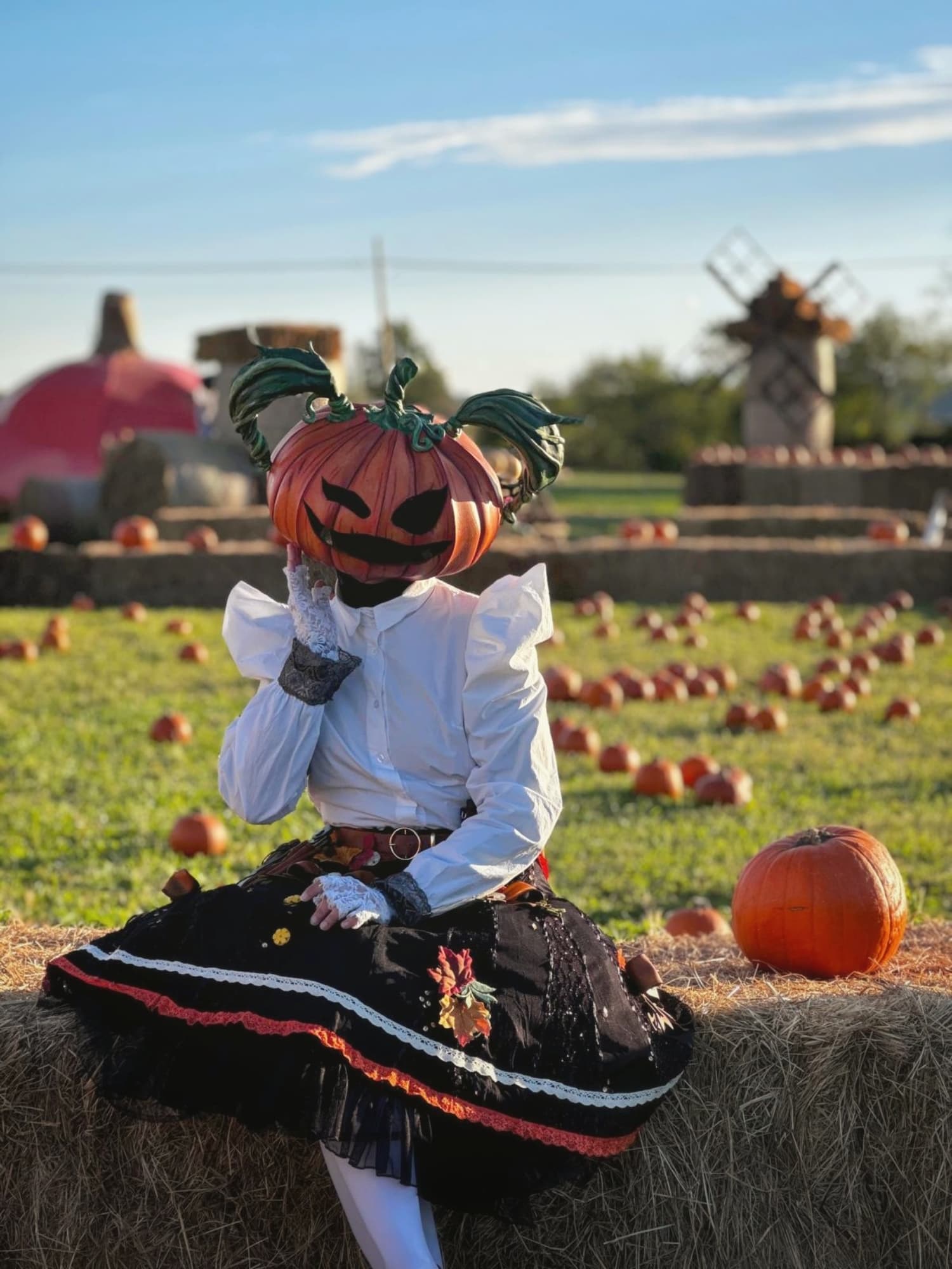Lady Pumpkin  - Photo 3