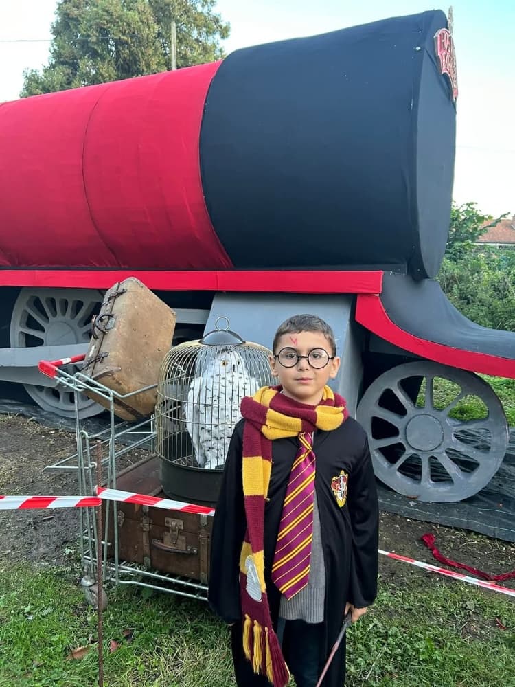 Harry potter  - Photo 14