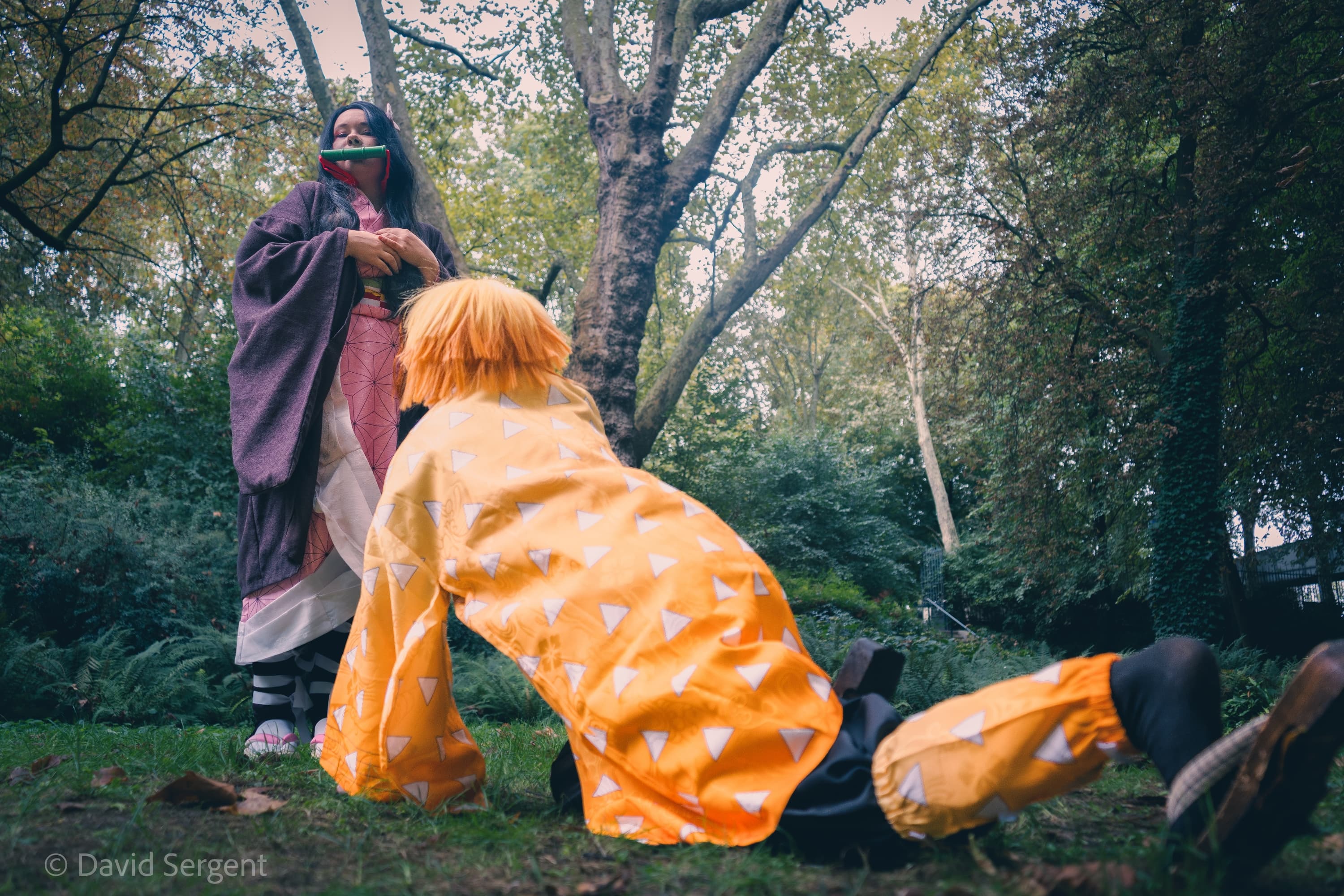 Groupe KNY  - Photo 1