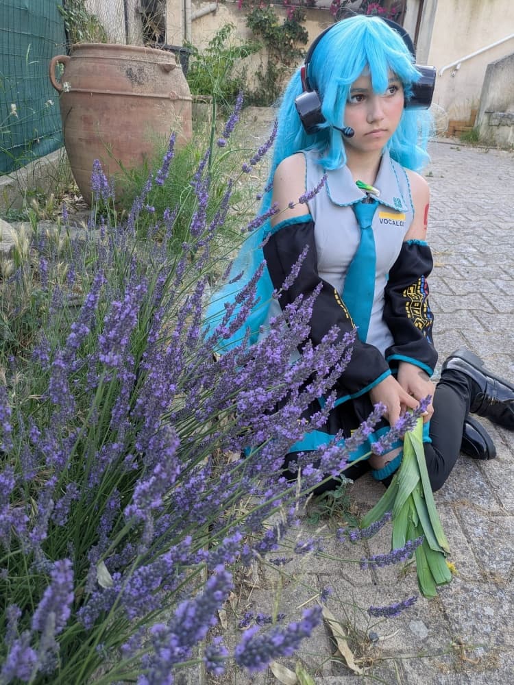 Hatsune Miku 6/25 - Photo 4