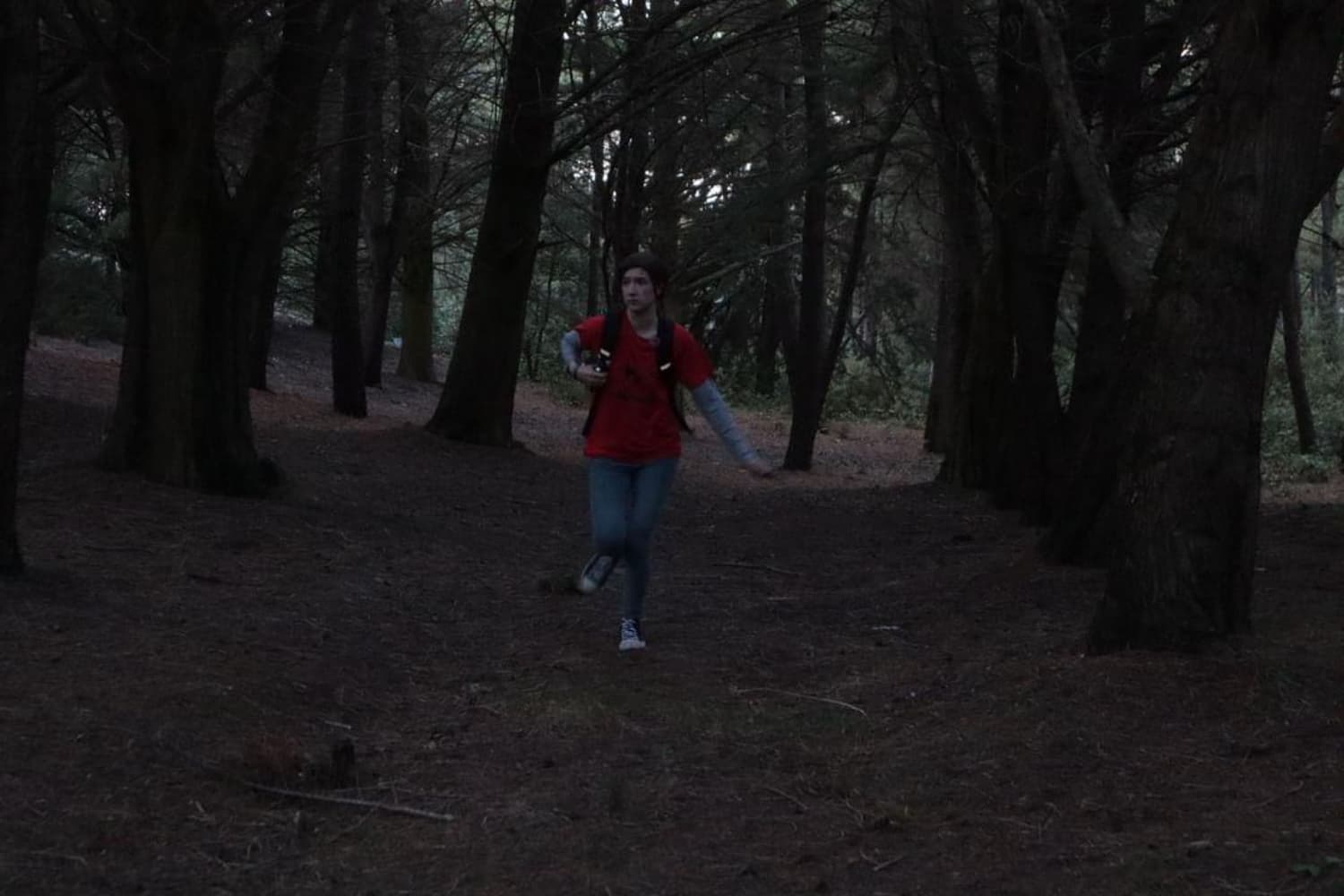 Ellie TLOU forest - Photo 23