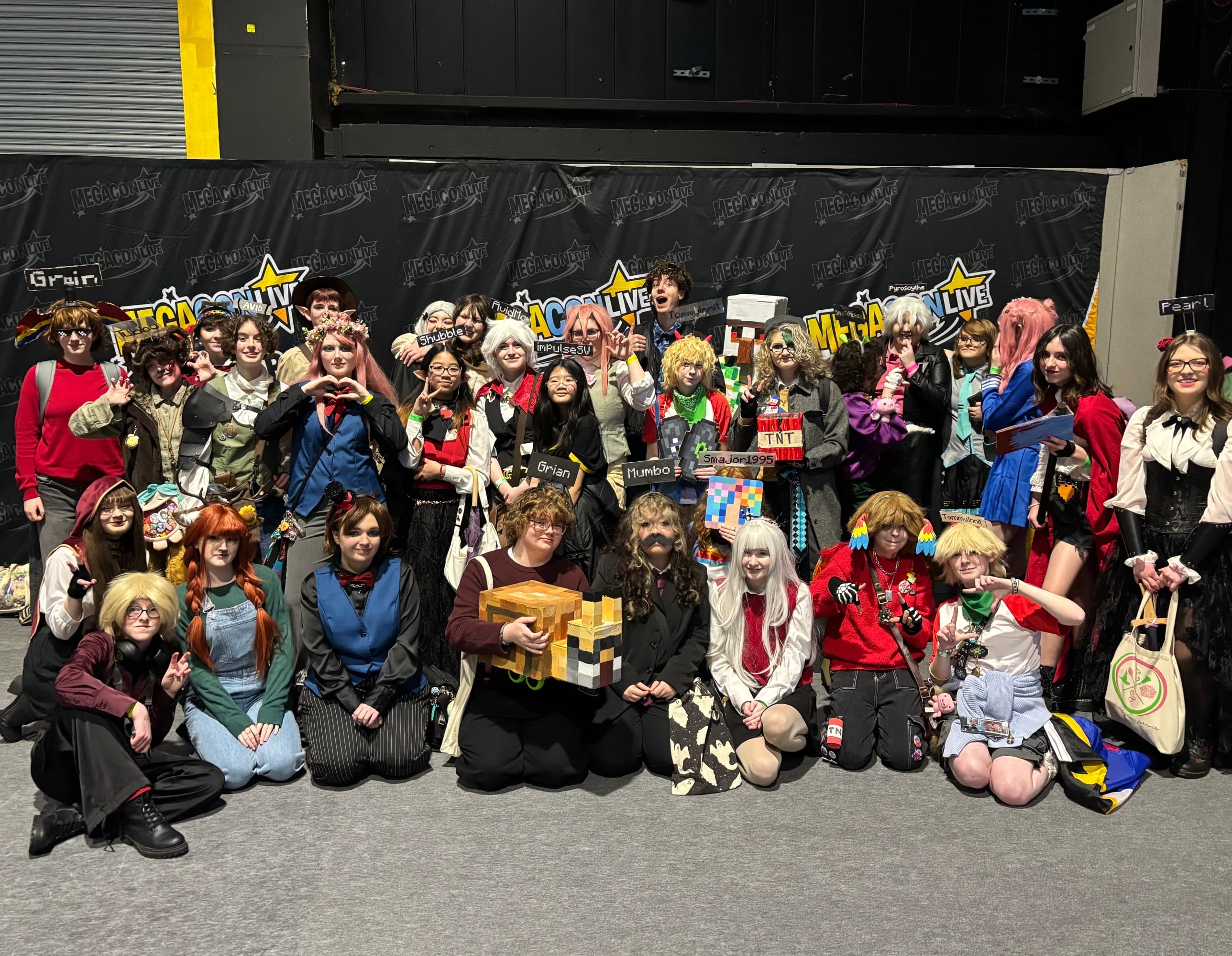 Dublin megacon '26 - Photo 4