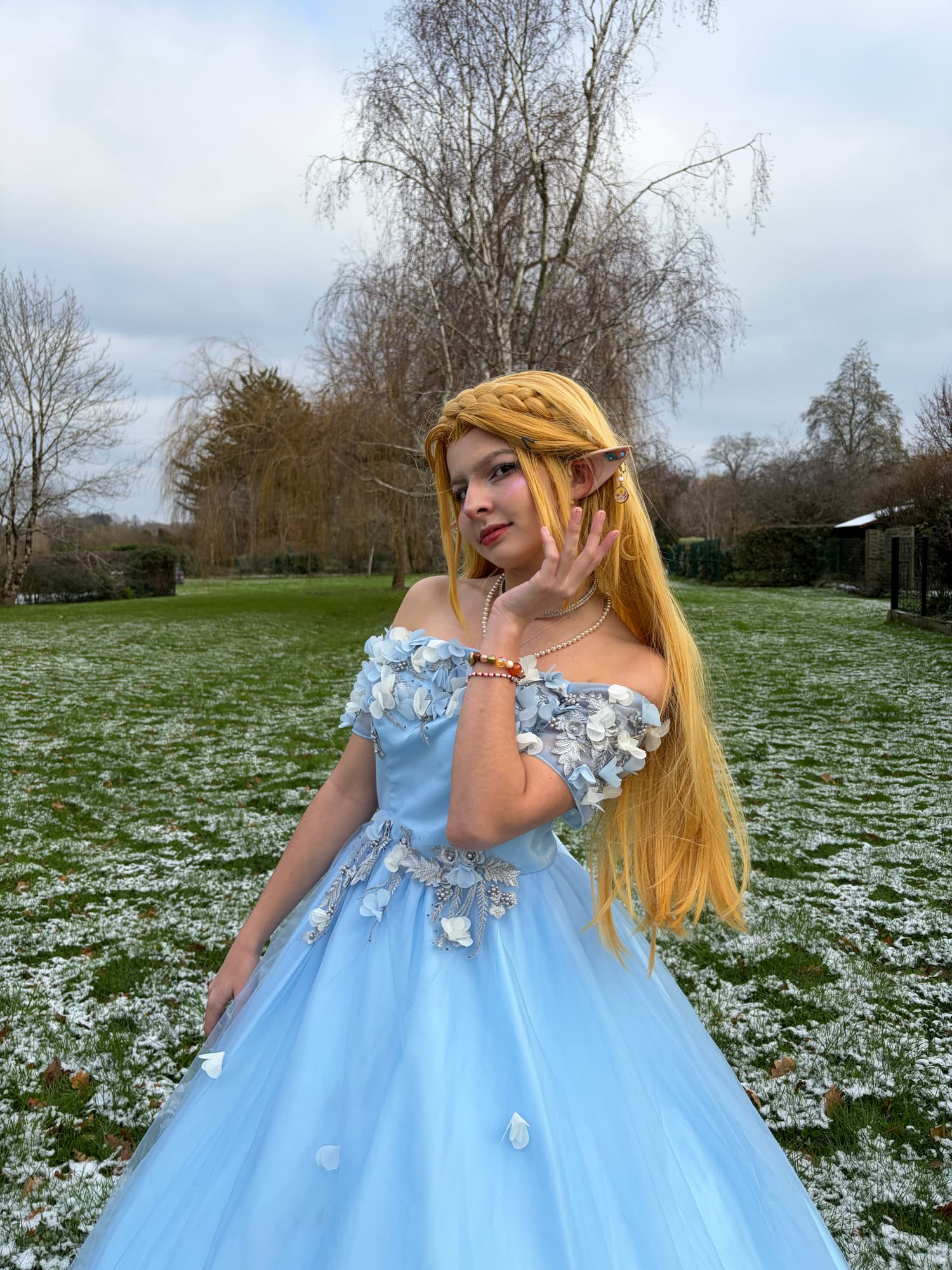 Zelda snow  - Photo 8
