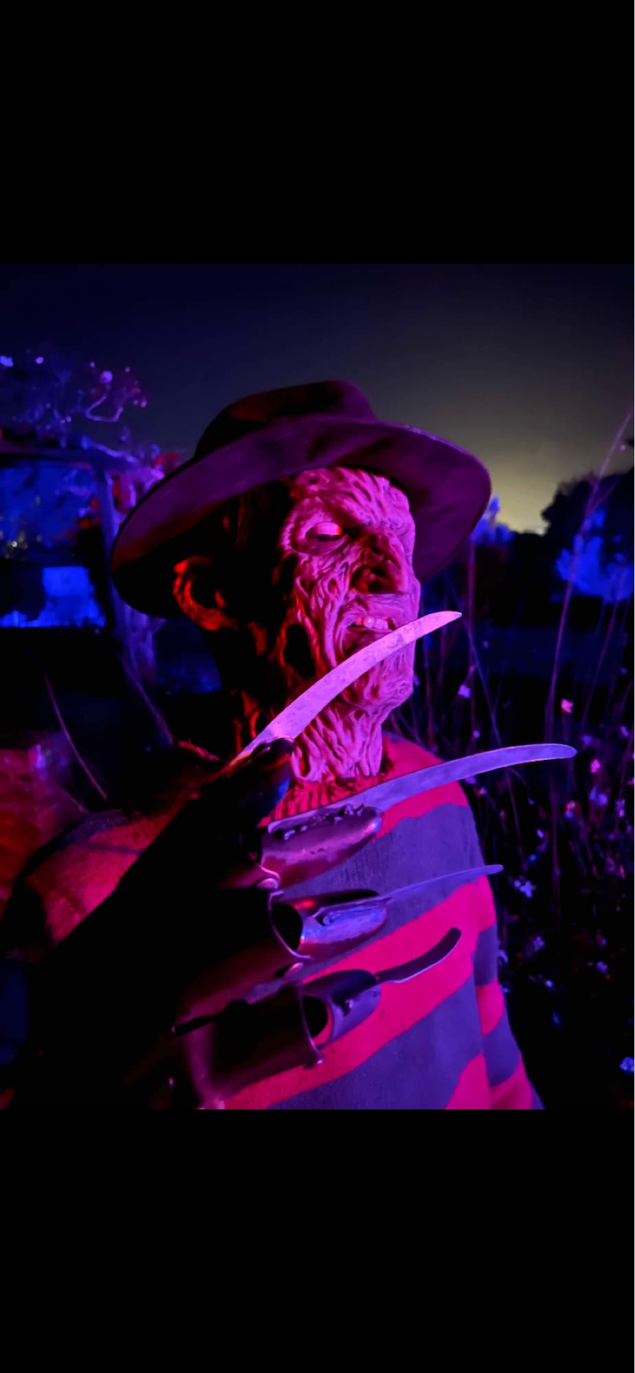 freddy krueger  - Photo 11