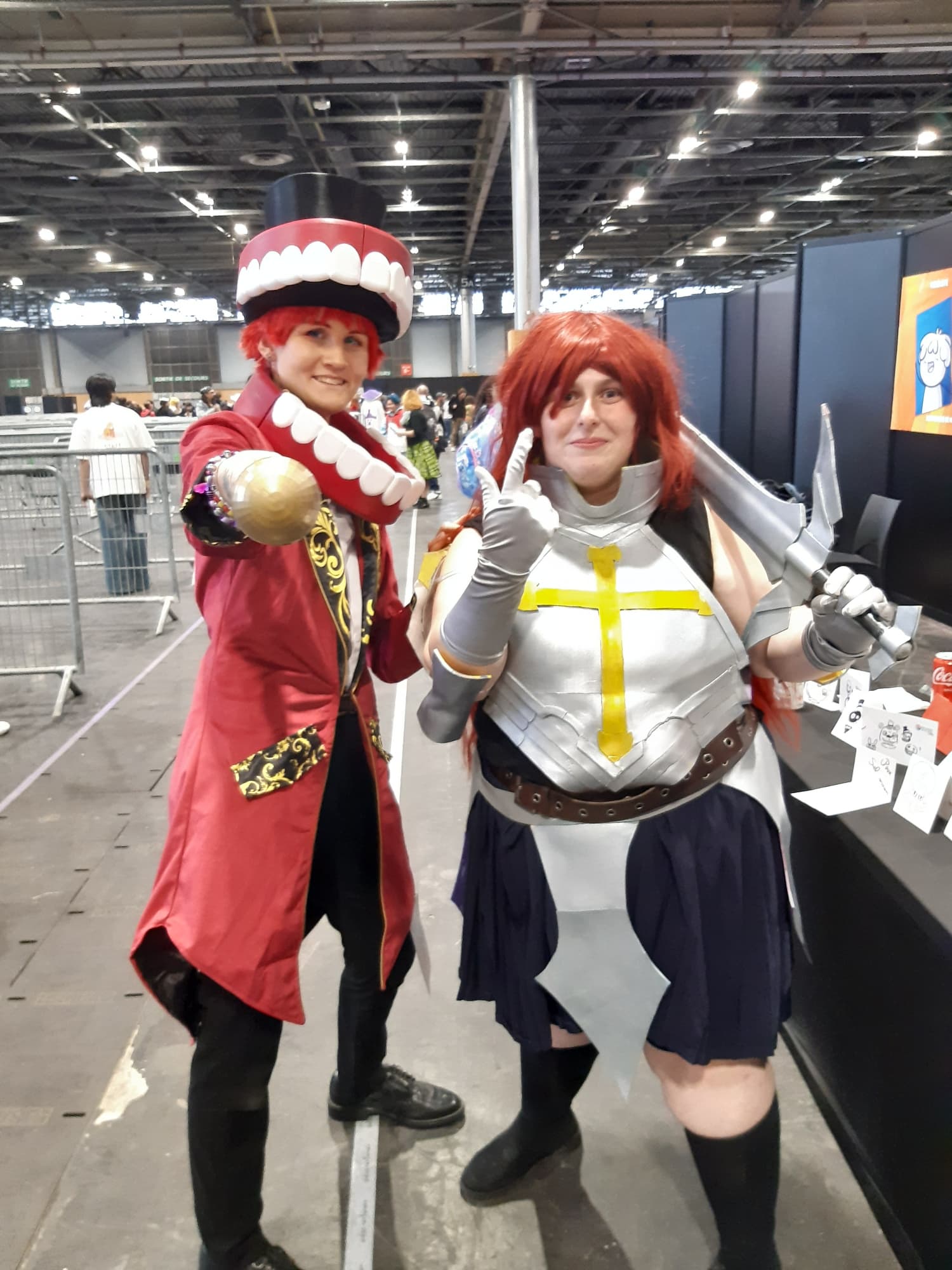 Erza armure 1 - Photo 1